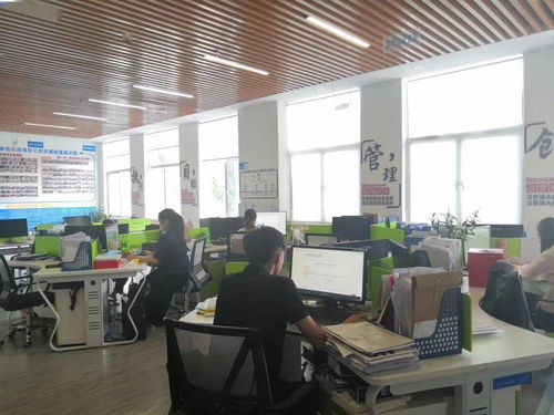 保亭縣電子商務(wù)公共服務(wù)中心誠邀英才，共促商務(wù)信息咨詢服務(wù)發(fā)展